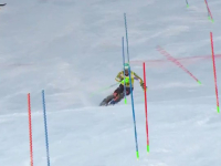 Leitgeb Richard 47. Madonnán 